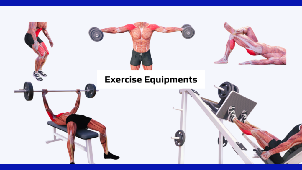 Tailor Your Exercises Based On Your Goals!